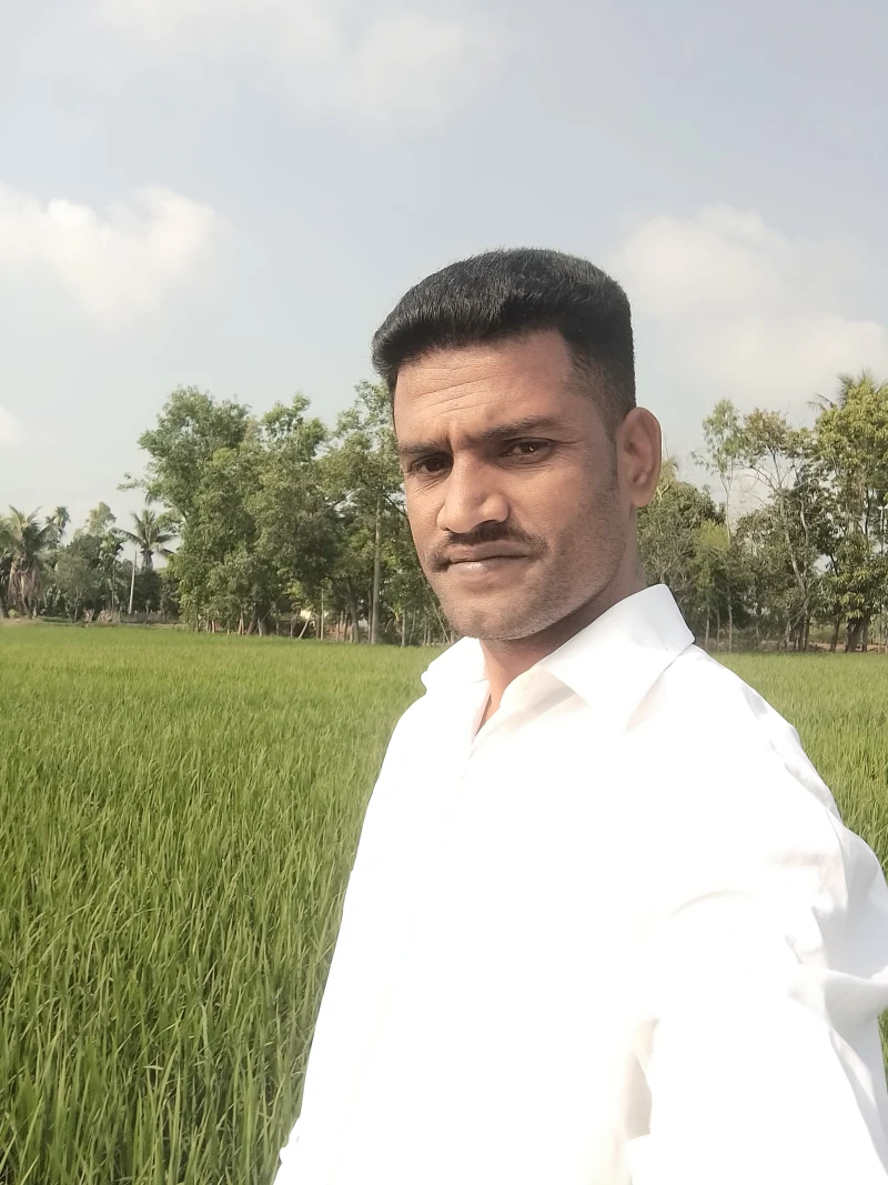 Md Anamul Hassan